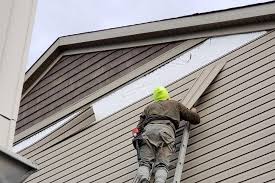 Trusted Cottonwood, MN Siding Experts